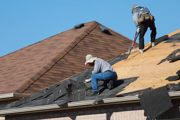 Best Asphalt Shingle Roofing  in Mexia, TX