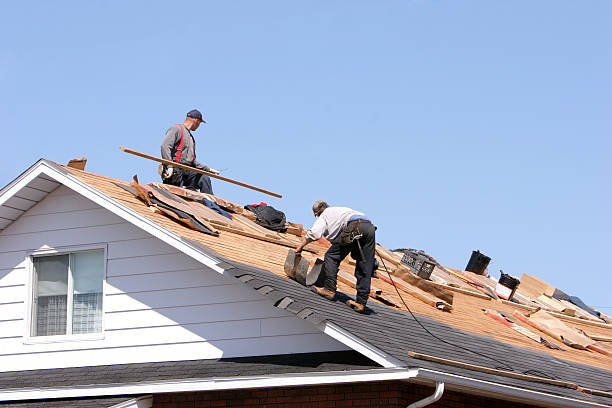 Best Roof Moss and Algae Removal  in Mexia, TX